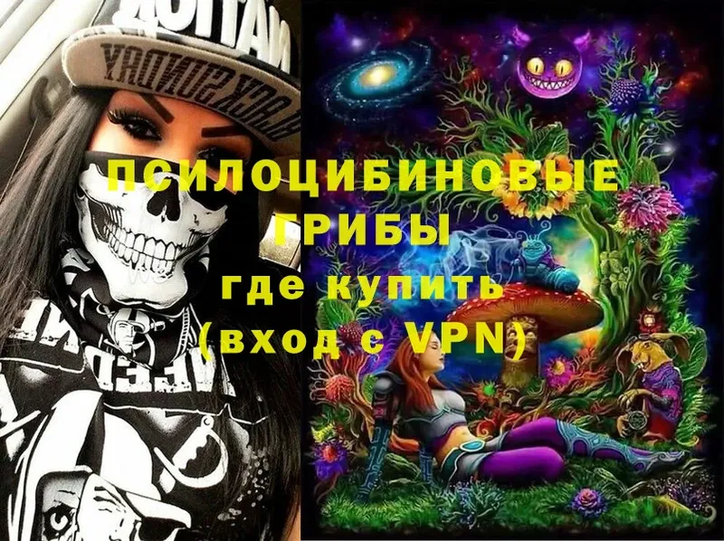 Псилоцибиновые грибы Psilocybine cubensis  Безенчук 